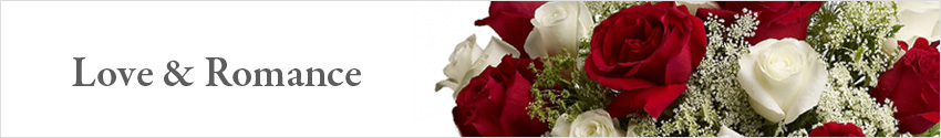 Send Love and Romance Flowers
