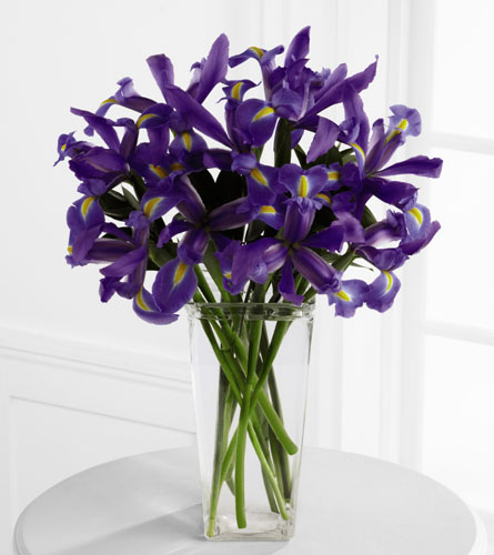 Iris Riches Arrangement