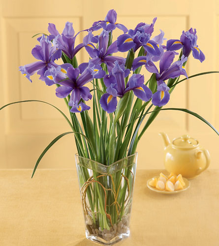 Blooming Iris Bouquet