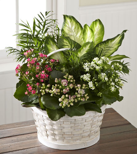 Rural Beauty Planter Basket