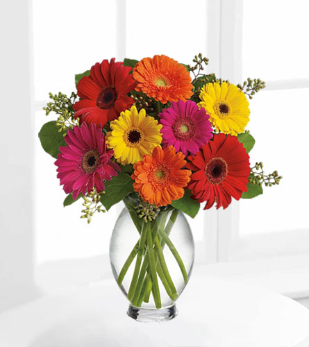 Teleflora's Gerbera Brights