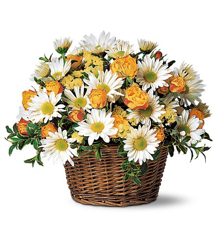 Daisy Flowers, Online