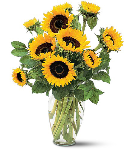Shining Sunflowers Arrangement