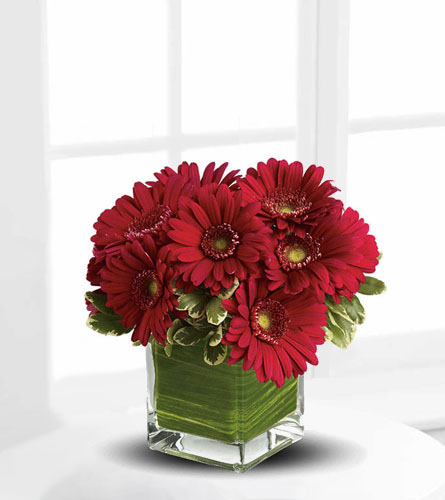 The Flower Shop - Buy Flowers Online | Floral Delivery ...