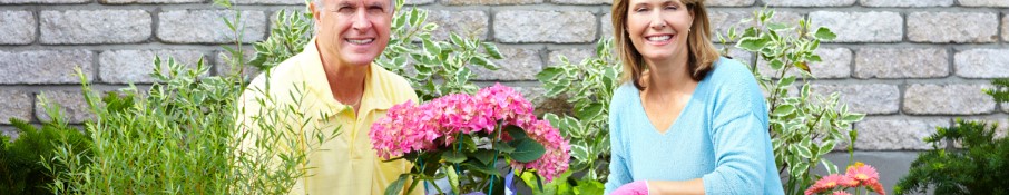 The Flower Shop — providing fresh flower delivery to family and friends at Good Shepherd Home-Bethlehem